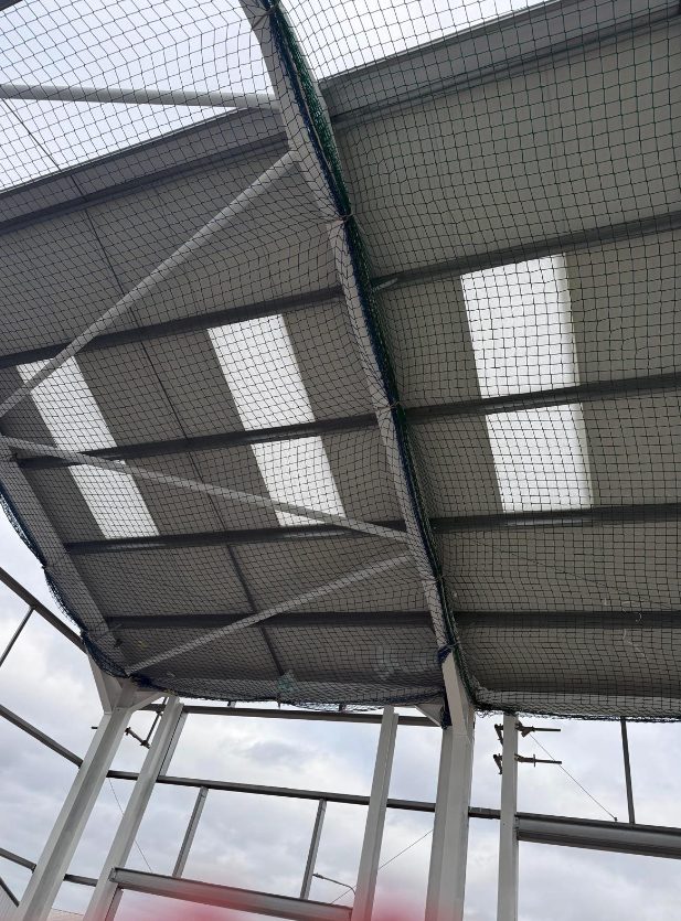 Purlins, rooflights and netting